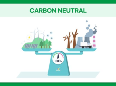 Xu hướng giảm phát thải và trung hoà carbon