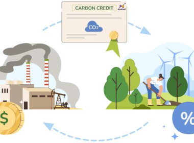 Tổng quan về tín chỉ carbon và thị trường carbon
